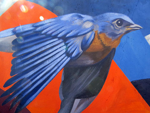 Detall de l'obra d'Eze Valent&iacute;n al carrer Marf&agrave;