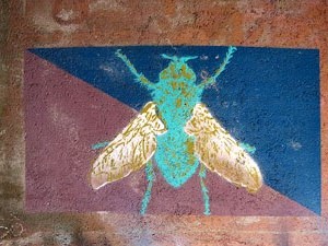 Girona i les mosques. Presència d'un animal símbol de la ciutat pels carrers de Girona