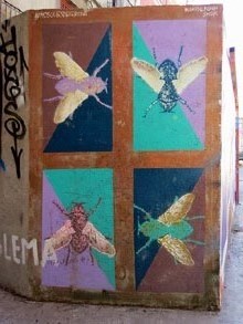 Girona i les mosques. Presència d'un animal símbol de la ciutat pels carrers de Girona