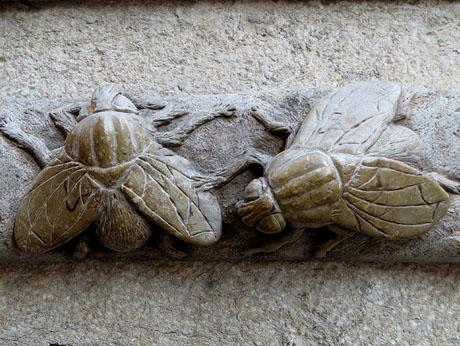 Girona i les mosques. Presència d'un animal símbol de la ciutat pels carrers de Girona