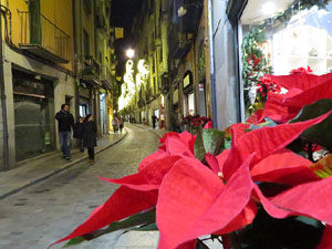 Nadal 2019 a Girona. La decoraci&oacute; nadalenca dels carrers