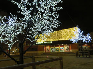 Nadal 2019 a Girona. La decoraci&oacute; nadalenca dels carrers