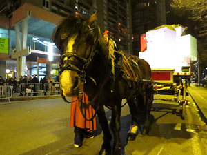 La Cavalcada de Reis 2020. Desfilada pels carrers de la ciutat, fins la plaça del Vi