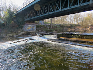 El pont de la Barca sobre el riu Ter constru&iuml;t el 1902