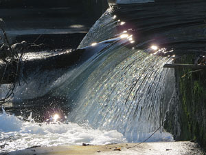 El pont de la Barca sobre el riu Ter constru&iuml;t el 1902