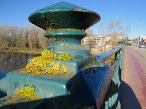El pont de la Barca sobre el riu Ter constru&iuml;t el 1902