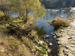 El pont de la Barca sobre el riu Ter constru&iuml;t el 1902