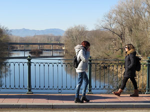 El pont de la Barca sobre el riu Ter constru&iuml;t el 1902