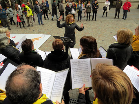 Actuació del cor de l'Ateneu d'Acció Cultural (ADAC)