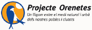 Projecte Orenetes