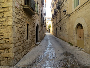 Els carrers de la ciutat. El carrer dels Alemanys