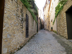 Els carrers de la ciutat. El carrer dels Alemanys