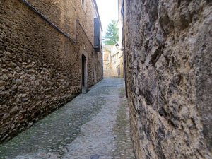 Els carrers de la ciutat. El carrer dels Alemanys