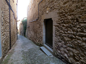 Els carrers de la ciutat. El carrer dels Alemanys