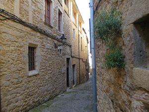 Els carrers de la ciutat. El carrer dels Alemanys