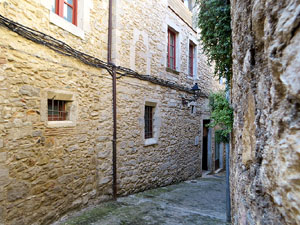 Els carrers de la ciutat. El carrer dels Alemanys