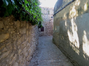 Els carrers de la ciutat. El carrer dels Alemanys