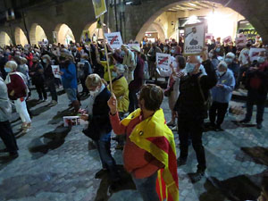 Concentraci&oacute; contra el 155 davant la subdelegaci&oacute; dels govern espanyol a la Gran Via de Jaume I