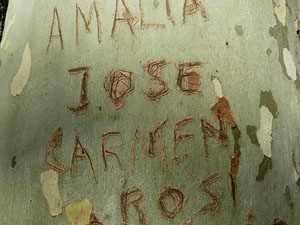 Els Jardins de la Devesa. La Flora