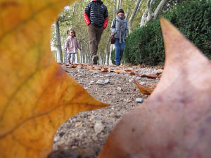 Els Jardins de la Devesa. La Flora