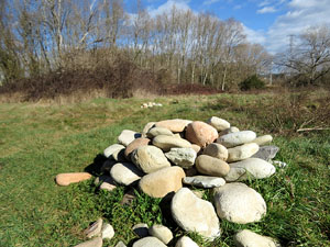 L'itinerari de les Deveses d'en Bru. Ruta de l'aiguat de la bassa