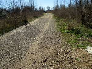 L'itinerari de les Deveses d'en Bru. Ruta de l'aiguat de la bassa