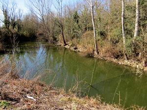 L'itinerari de les Deveses d'en Bru. Ruta de l'aiguat de la bassa