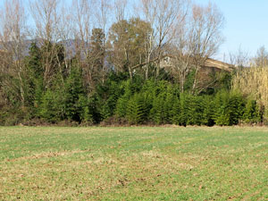 L'itinerari de les Deveses d'en Bru. Ruta de l'aiguat de la bassa