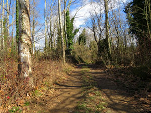 L'itinerari de les Deveses d'en Bru. Ruta de l'aiguat de la bassa