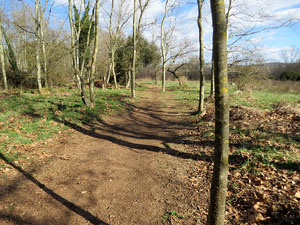 L'itinerari de les Deveses d'en Bru. Ruta de l'aiguat de la bassa