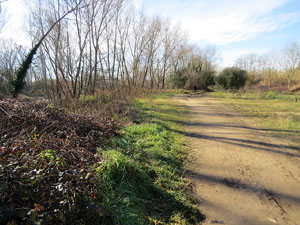 L'itinerari de les Deveses d'en Bru. Ruta del mirador del riu