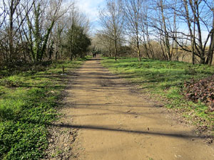 L'itinerari de les Deveses d'en Bru. Ruta del mirador del riu