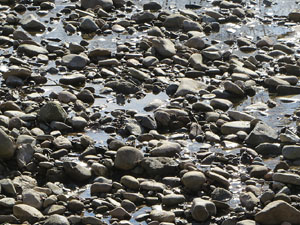 L'itinerari de les Deveses d'en Bru. Ruta del mirador del riu