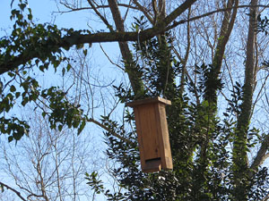 L'itinerari de les Deveses d'en Bru. Ruta del mirador del riu