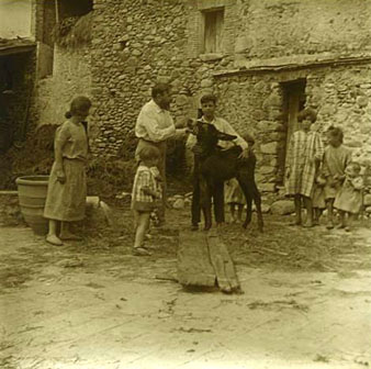 Estada de la família Masó al Mas Bru de Domeny. Rafael Masó amb el seus fills Rosa i Francesc, i altres nens del mas, amb un ase. 26/08/1925