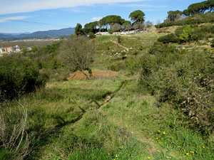 Itinerari de la pedra de Girona. La Torre d'Alfons XII i la Ferradura