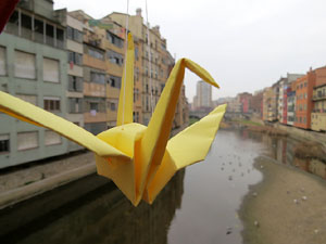 Imatges d'activitats 1-O. Material divers 2017