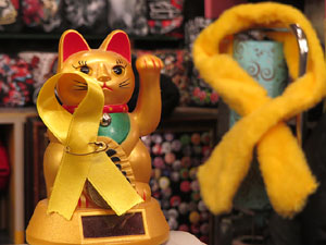 Imatges d'activitats 1-O. Material divers 2017