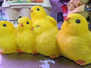 Imatges d'activitats 1-O. Material divers 2017