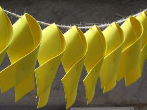 Imatges d'activitats 1-O. Material divers 2017