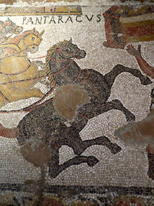 Detall del mosaic de Can Pau Birol. Segle III dC