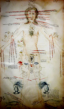 Tractat de medicina. 1400. Itàlia