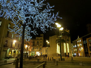 Nadal 2020. La decoraci&oacute; nadalenca dels carrers