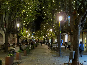 Nadal 2020. La decoraci&oacute; nadalenca dels carrers