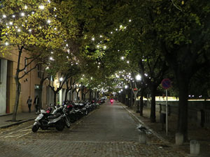 Nadal 2020. La decoraci&oacute; nadalenca dels carrers