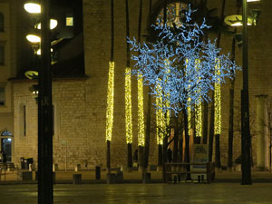 Nadal 2020. La decoraci&oacute; nadalenca dels carrers