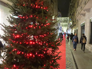 Nadal 2020. La decoraci&oacute; nadalenca dels carrers