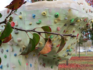 Parcs i jardins de Girona. Parc de Domeny