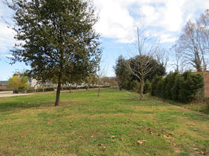 Parcs i jardins de Girona. Parc de Domeny