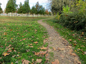 Parcs i jardins de Girona. Parc de Domeny